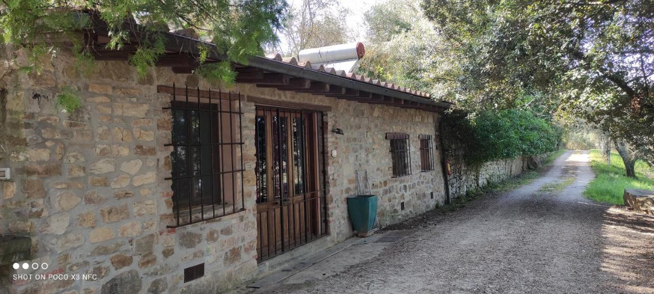 Fattoria Il Milione Agriturismo Florencia Exterior foto