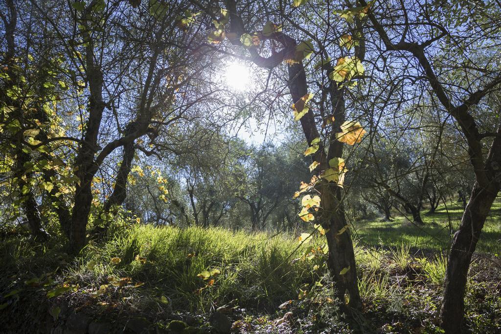 Fattoria Il Milione Agriturismo Florencia Exterior foto