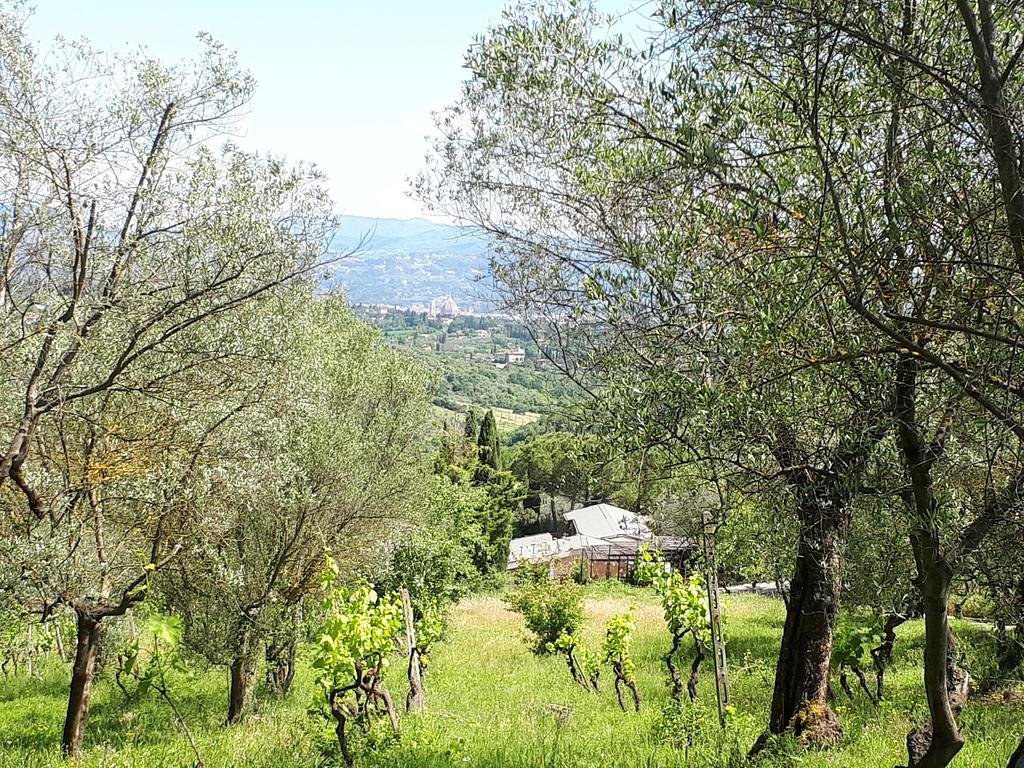 Fattoria Il Milione Agriturismo Florencia Exterior foto