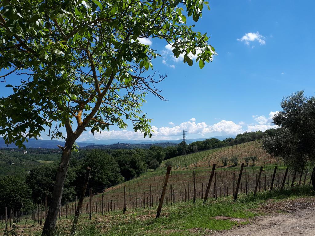 Fattoria Il Milione Agriturismo Florencia Exterior foto